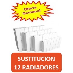 CAMBIAR 12 RADIADORES